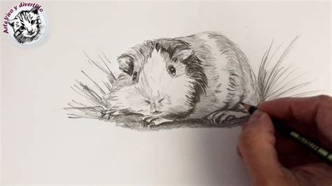 Dibujos Realistas A Lapiz Faciles De Animales - Ondepode Wallpaper