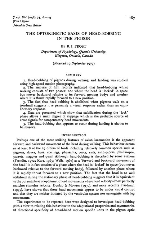 (PDF) The optokinetic basis of head bobbing in pigeon