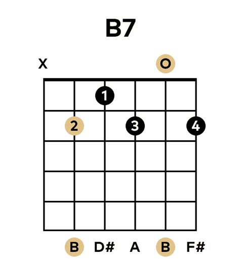 The B Dominant 7th Chord