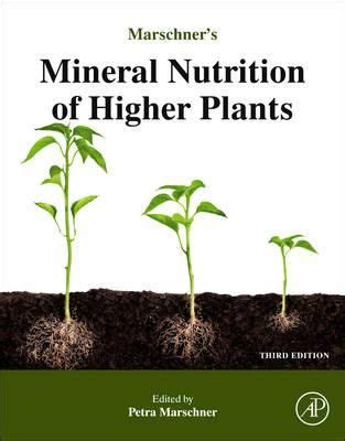 Marschner's Mineral Nutrition of Higher Plants – ARTBOOK