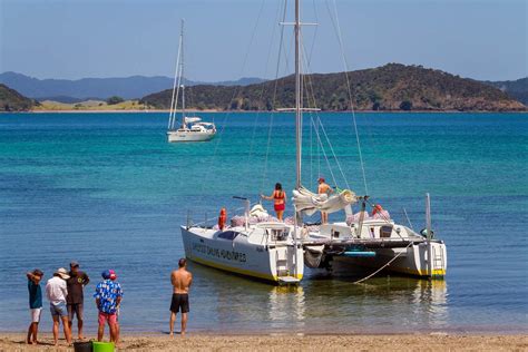 Island Hopper Sailing Cruise | See and Do New Zealand