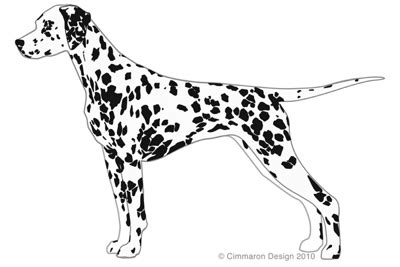 Dalmatian Silhouette at GetDrawings | Free download