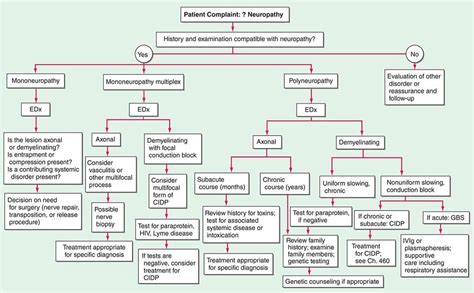 Peripheral Neuropathy | Basicmedical Key