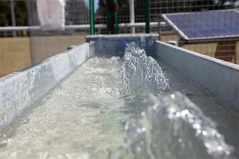 How to keep your livestock water trough clean and algae free ...