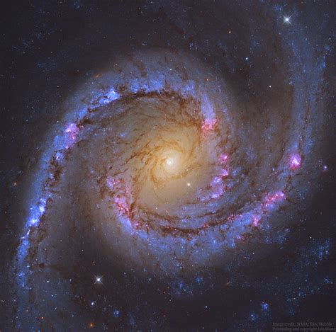 APOD: 2019 July 2 - NGC 1566: The Spanish Dancer Spiral Galaxy