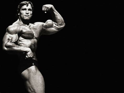 HD wallpaper: Arnold Schwarzenegger, men | Wallpaper Flare