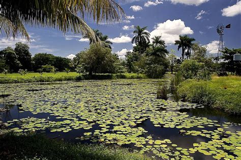 Ciénaga de Zapata Biosphere Reserve and National Park (Cuba) | LAC Geo