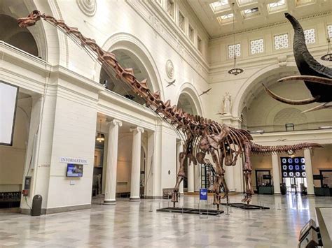 Paleontology Enthusiast Finds Near-Complete Dinosaur Skeleton While Walking His Dog | Extremetech