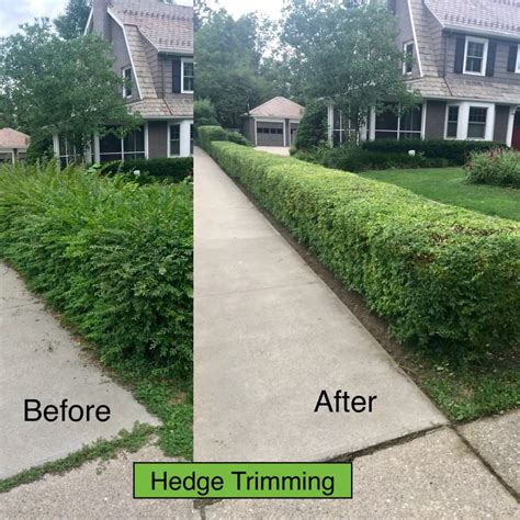 Trimming and Pruning - CLE Landscaping Co., LLC