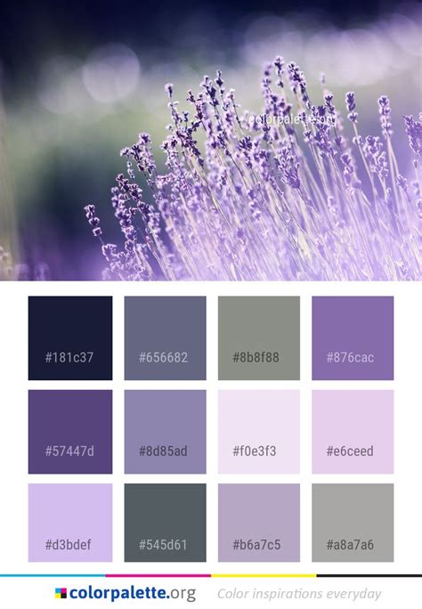 lavender colour palette lavender color palette violet color palette - how to mix different ...