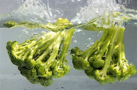 Free picture: broccoli, terrific, source, vitamins, well, dietary fiber