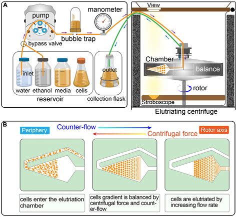 Centrifugation Process Of Separation