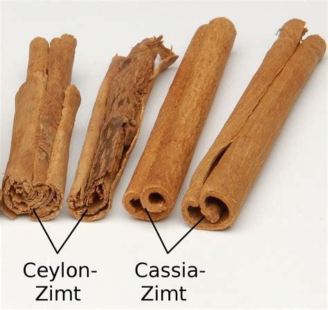 Ceylon-Zimtbaum – Wikipedia