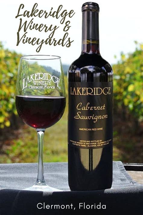 Lakeridge Winery & Vineyards: A Visit to Florida’s Largest Winery in ...