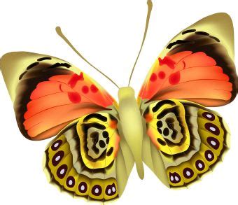 Colorful Moth clip art