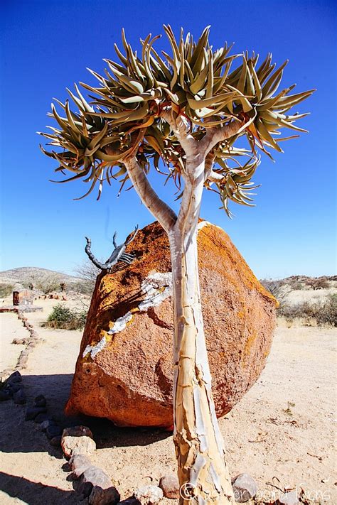 Towering Rocks of Spitzkoppe | As Her World Turns