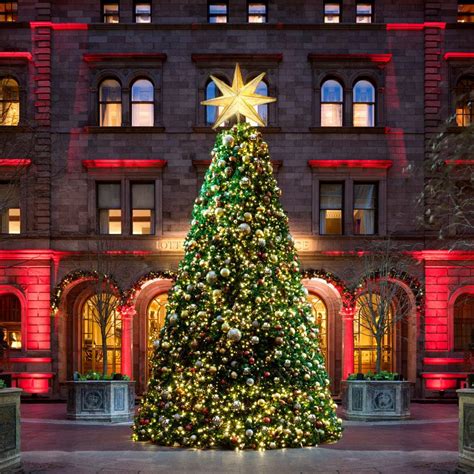 14 NYC Christmas Trees (Besides Rockefeller Center)