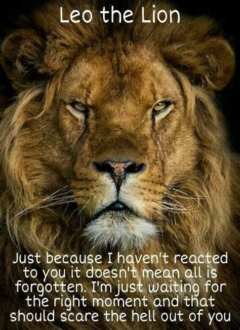 Pin by Peri Young on Lions | Leo zodiac facts, Leo zodiac quotes, Lion ...