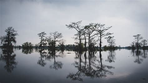 Biking, paddling & more in the Atchafalaya National Heritage Area - Mississippi River Country