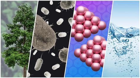 Organic Chemistry | College of Chemistry