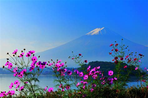 4K, 5K, 6K, Autumn, Mountains, Sky, Mount Fuji, Japan, Trees, Clouds, Volcano, HD Wallpaper ...