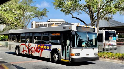 Disney World Bus Ride to Magic Kingdom From Disney's Animal Kingdom in ...