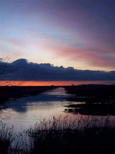 This photo from Magee Marsh State Wildlife Area is exquisite! Photo credit belongs to Ross ...