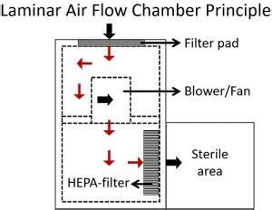 What is Laminar Airflow Chamber? Definition, Principle, Video, Parts & Uses - Biology Reader