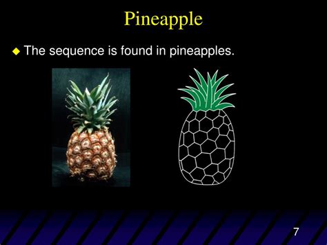 PPT - 1. Fibonacci Sequence 2. Golden ratio PowerPoint Presentation ...