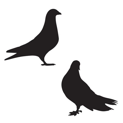 Pigeon Art Silhouette 7170244 Vector Art at Vecteezy