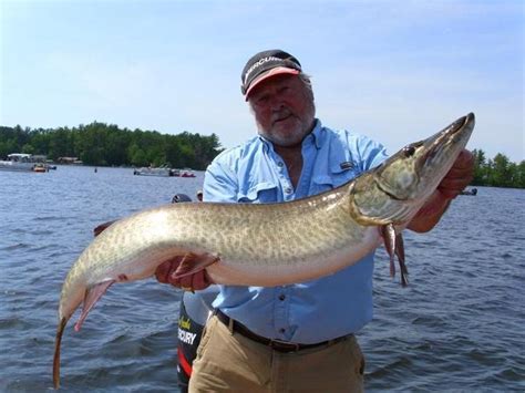 Fish Eagle River Chain - Vilas County, Wisconsin