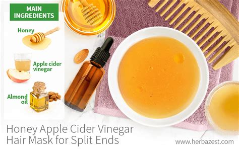 Honey Apple Cider Vinegar Hair Mask for Split Ends | HerbaZest