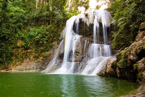 Beautiful Gozalandia Waterfall in San Sebastian Puerto Rico Stock Photo - Image of puerto ...