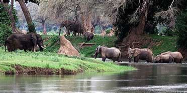 The 10 Best Tour Operators in Zimbabwe (With Reviews)