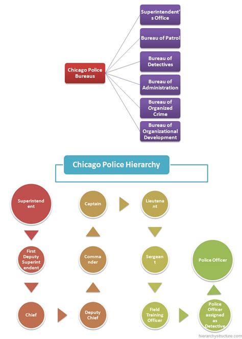 Boston Police Department Organizational Chart - Best Picture Of Chart ...