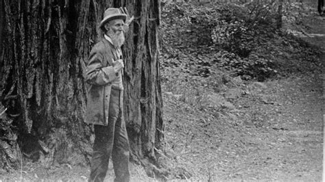 How John Muir Helped Pave the Way for the National Park System ...