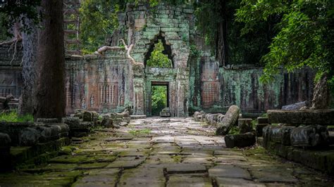 trees, leaves, moss, rocks, plants, walkway, temple, Cambodia, roots, ancient, ruins HD Wallpaper