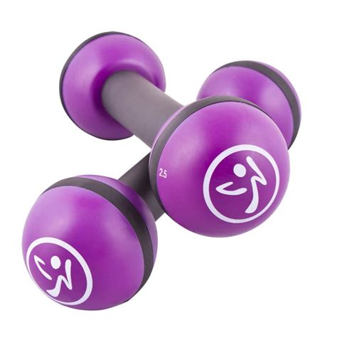 Zumba Toning Sticks 2 pcs 1 kg Purple ZUM011 | vidaXL.co.uk