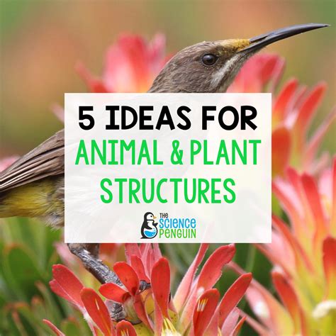 5 BEST Ideas to Teach Animal Adaptations and Plant Adaptations — The ...