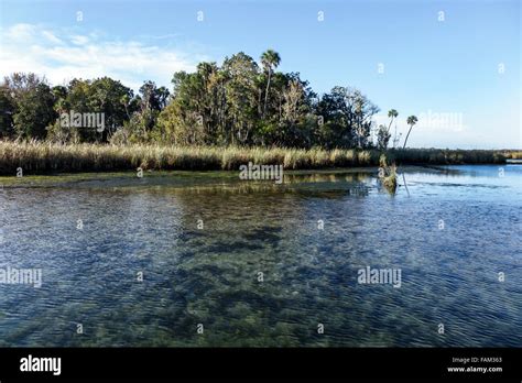 Florida Crystal River Kings Bay Crystal River National Wildlife Stock Photo: 92639963 - Alamy