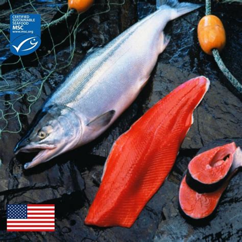 Chilean Farmed Atlantic Salmon – Ifish