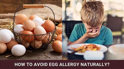 How to Avoid Egg Allergy Naturally?