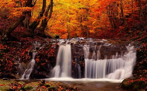 landscape, Fall, Forest, River, Waterfall, Trees Wallpapers HD / Desktop and Mobile Backgrounds