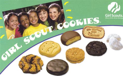 Why Were Over 13,000 Boxes Of Girl Scout Cookies Destroyed? | TheCount.com