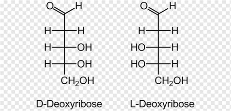 L-Glucose Fischer projection Epimer Fructose، others, زاوية, نص, مستطيل png