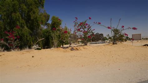 Kadesh Barnea: Crises of Faith for the Israelites | HolyLandSite.com