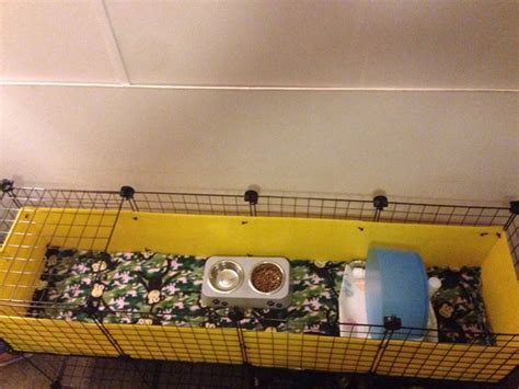 DIY Habitat Setups for Hedgehogs? - C&C Setup, Do It Yourself | Hedgehog cage, Hedgehog pet ...