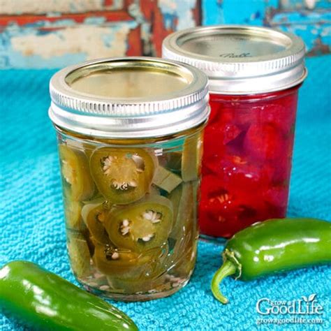 Pickled Jalapenos Canning Recipe