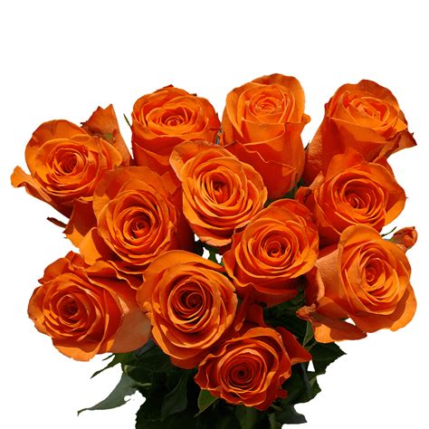 One Dozen Orange Roses- Fresh Flower Delivery - Walmart.com