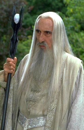 Saruman and Gandalf - Saruman Photo (20940348) - Fanpop